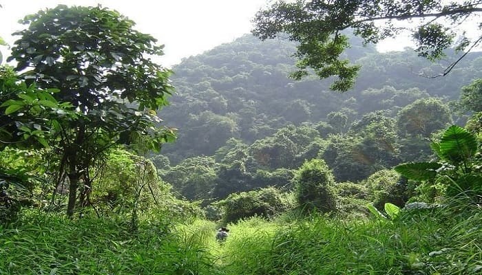 Parque de Cuc Phuong